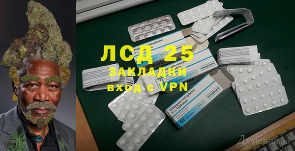 гидра Володарск