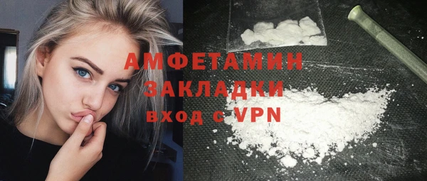 гидра Володарск