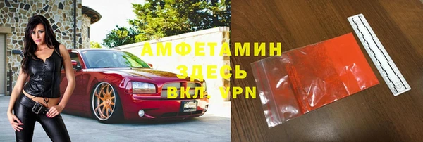 гидра Володарск