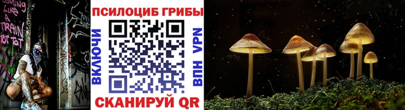 Купить где  Тбилисская  Галлюциногенные грибы мухоморы 